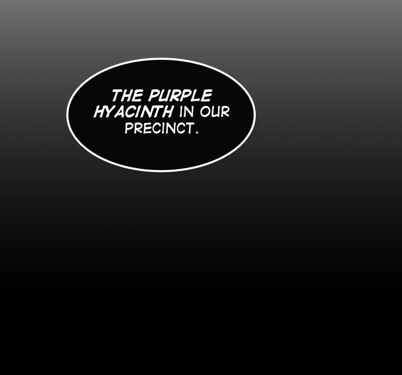 Purple Hyacinth Chapter 50 79